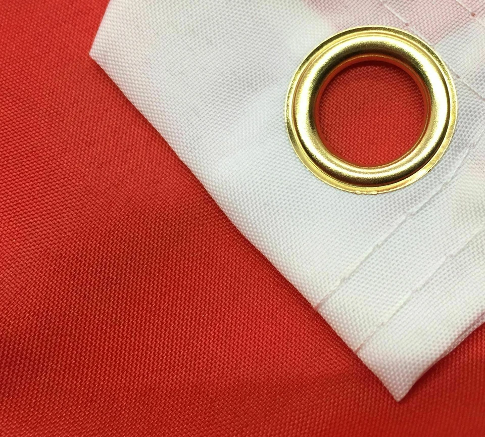 Packers BANDERA 3X5 Green Bay Banner Fútbol Nuevo EE. UU. Hombre Cueva Banderas Letrero de Pared Foto 3 de 4