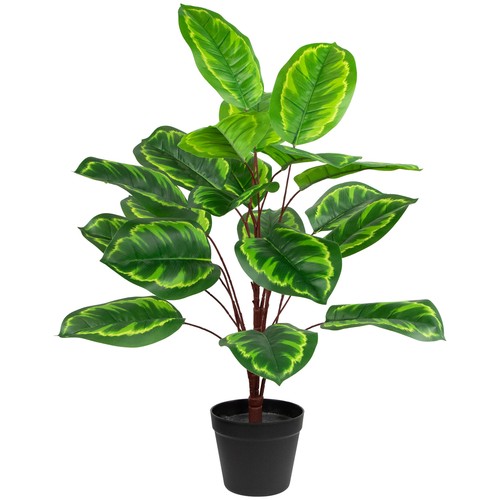 Northlight 30Inch Artificial Large Green Leaf Calathea Potted Plant eBay