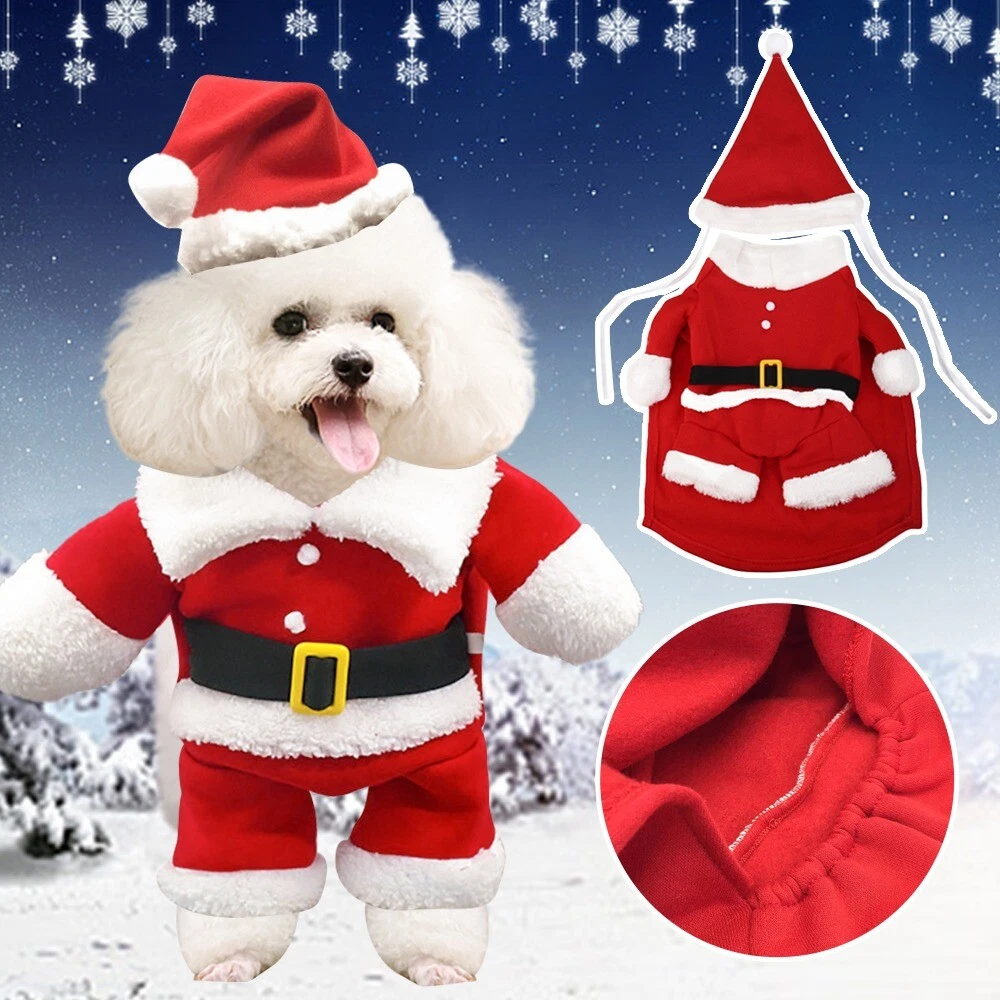 Dog santa hotsell coat