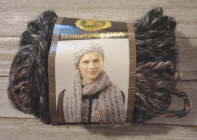Lion brand yarn hometown USA crochet #6 1 skein salem creek lot #41195 new