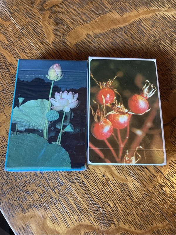 Edible & Poisonous Plants of the Eastern & Western States Information Cards NOS