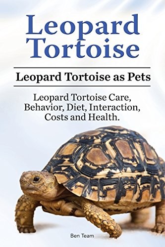 Leopard Tortoise. Leopard Tortoise as Pets. Leopard Tortoise Care, Behavior, Diet, Interaction, Costs and Health. - Image 5