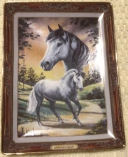 Andalusian Rectangular Franklin Mint Heirloom Recommendation Decorative Plate