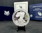 2013-W Proof American Silver Eagle with OGP & COA! 1 Oz .999 Silver