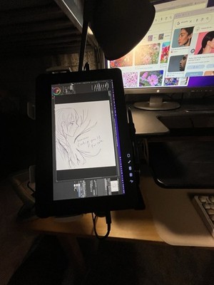Wacom Cintiq Pro 13 13.3in. Creative Pen Display for sale online