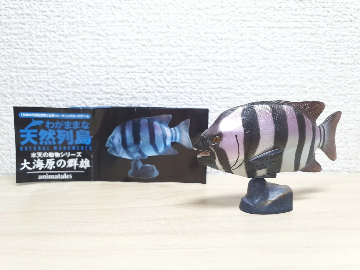 特上美品 わがままな天然列島 水天の動物シリーズ 大海原の群雄 13種