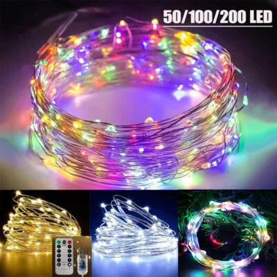 50/100/200 LED USB Micro Rice Wire Copper Fairy String Lights DIY Decor Party