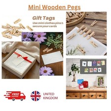 Mini Wooden Pegs 25mm Craft Wedding Hanging Photo Pegs Small Tiny Spring Clip