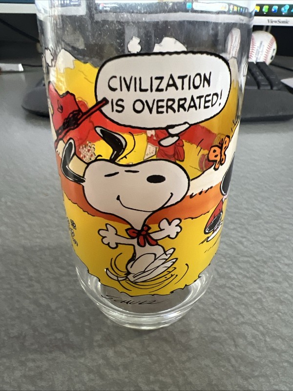 Vintage Peanuts CAMP SNOOPY Civilization Is Overrated 1971 McDonalds Glass -16oz