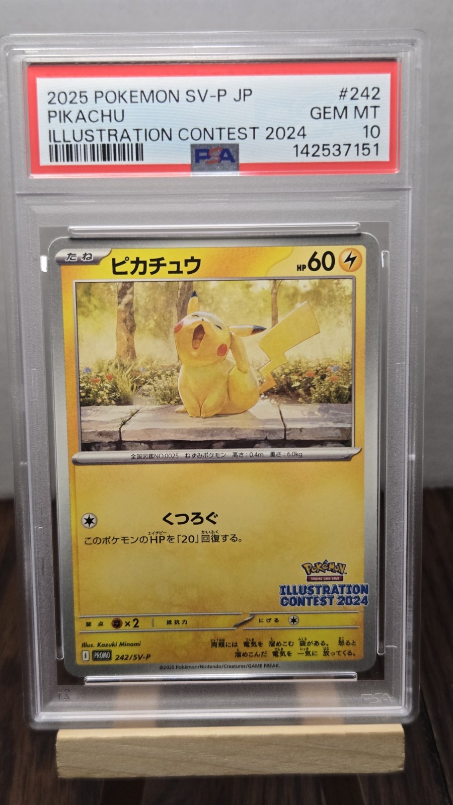 2025 POKEMON JAPANESE SV-P PROMO ILLUSTRATION CONTEST 2024 #242 PIKACHU PSA 10