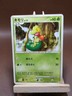 HP Pokemon Treecko 002/017 Arceus Deck Grass Fire Pt Japanese