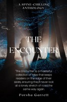 The Encounter A Spine-Chilling Anthology: A Spine Porsha Garrett Taschenbuch