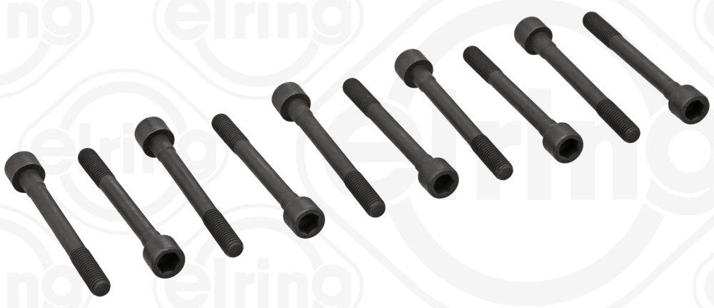 ELRING 290.330 Bolt Kit, cylinder head for HONGQI,MITSUOKA,NISSAN,RENAULT,SAMSUN