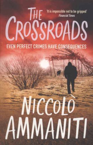 Crossroads, Paperback by Ammaniti, Niccolò; Hunt, Jonathan (TRN), Like New Us...