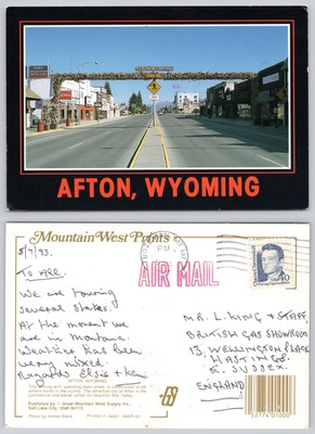 c24821 Elchhorn Bogengeweih Afton Wyoming USA Postkarte 1993 Stempel