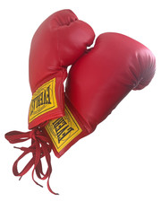 Everlast Red Lace Autograph Boxing Gloves