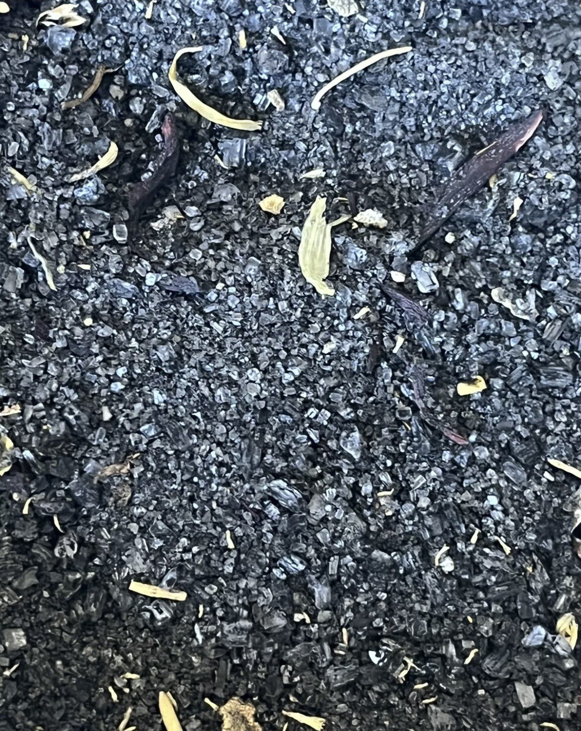 Picture 3 of 3