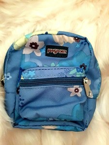 jansport lil break pouch