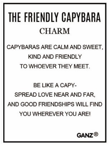 GANZ "The Friendly CAPYBARA" Charm Token Figurine + Poem Card 7/8"H x 1 1/4"W - Picture 3 of 7