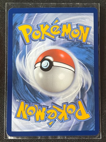 Lileep 005/142 Reverse Holo Common Stellar Crown Pokemon Pack Fresh Near Mint NM - Picture 2 of 6