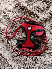 Cat Harness Adjustable With Lead Set Pets At Home Red