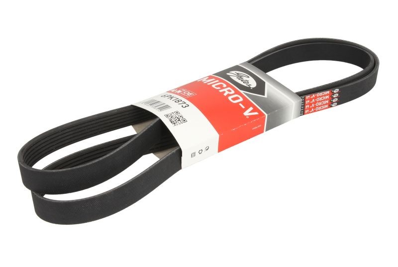 6 Rib Multi V Drive Belt fits SEAT IBIZA 1.2 02 to 15 Gates 03E260849A Quality - Image 39