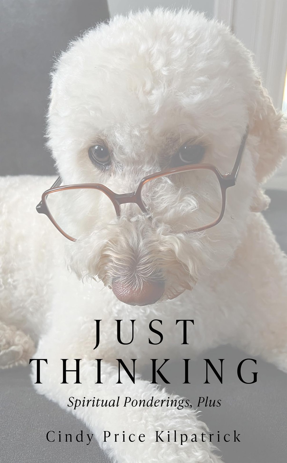 Синди Прайс Килпатрик Просто размышления (в мягкой обложке) (ИМПОРТ ИЗ Великобритании)