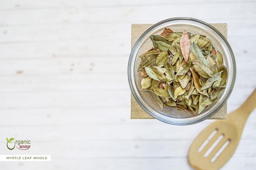 Bio Art getrocknetes Myrtenblatt ganz - Bio, koscher & USDA zertifiziert - Bild 9 von 22