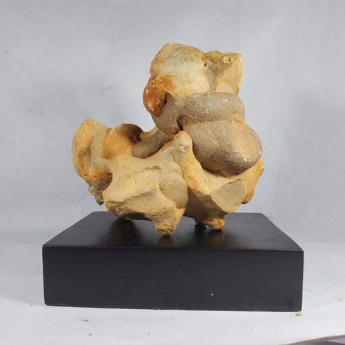 2105G Genuie Raw Sandstone Concretion Stone like A Animal Rough Mineral Specimen - Picture 4 of 11