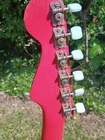 Picture 6 of 16