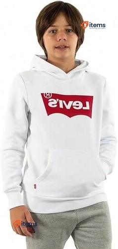Levi's Kids Screenprint Hoodie