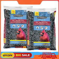 2 Pack Pennington Select Black Oil Sunflower Seed Wild Bird Dry Feed, 40 lb. Bag