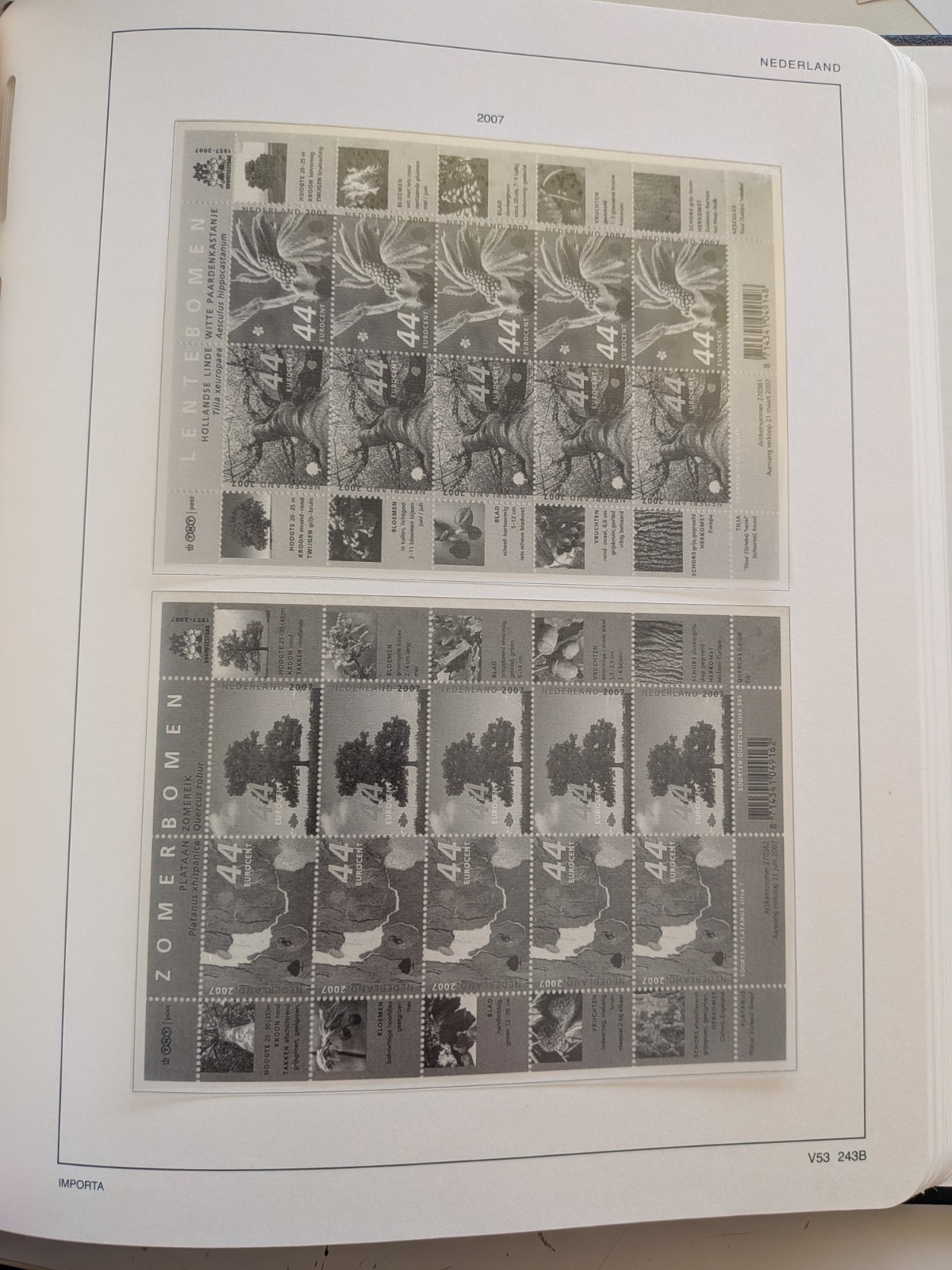 Bild 8 von 12