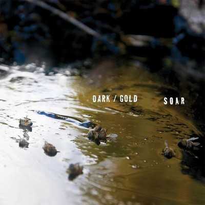 SOAR - dark / gold - ROCK *NEW*
