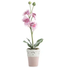 Set of 4 Artificial 15" Pink with Fuchsia Vanda Orchid Planters