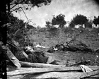 New 8x10 Civil War Photo: Dead from Gen. Richard Ewell's Attack at Spotsylvania
