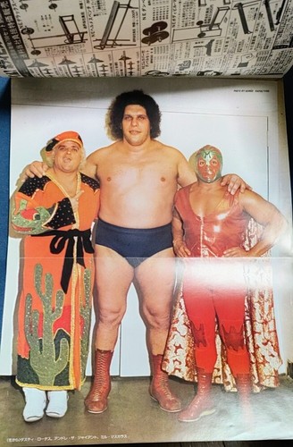 GONG MAGAZINE '78 USA CHAMPIONSHIP WRESTLING ALBUM 1978 - Picture 2 of 9