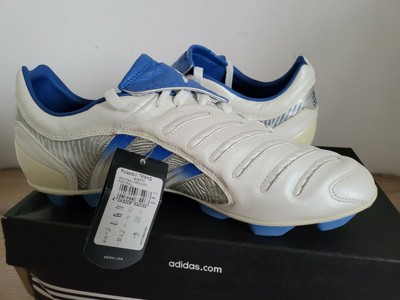 david beckham silver predators