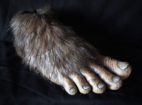 Bigfoot Latex Shoes Feet,(pair), Sasquatch, Yeti, Halloween Costume - 第 6/10 張圖片