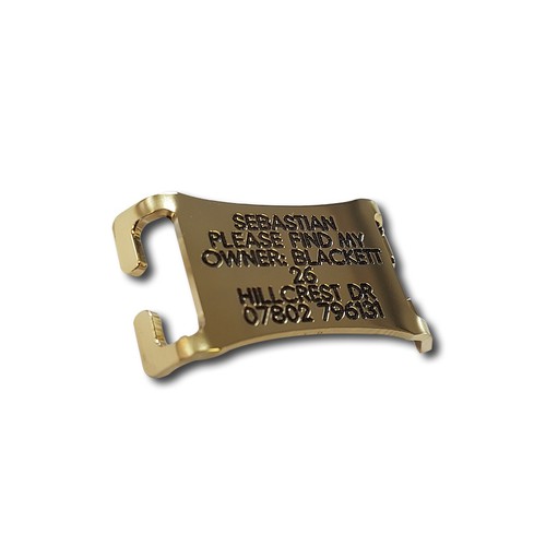 Brass Easy fit slide on Engraved personalised Agility Dog Collar tag 4 sizes - Picture 10 of 13