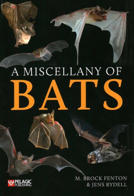 A Miscellany of Bats (Bat Biology and Conservation).by Fenton, Rydell New** - Image 3