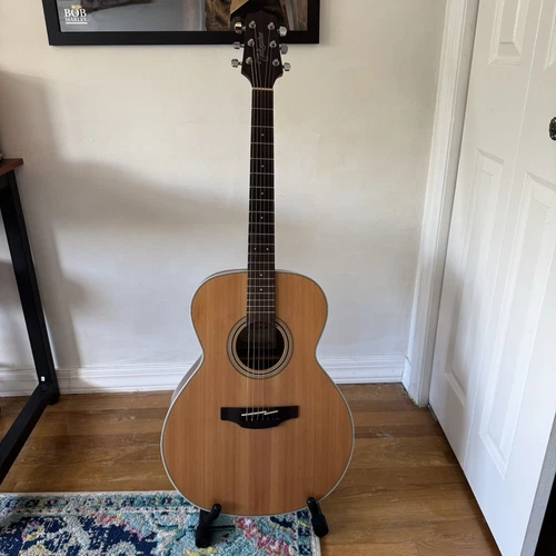 Takamine Gn20 Ns