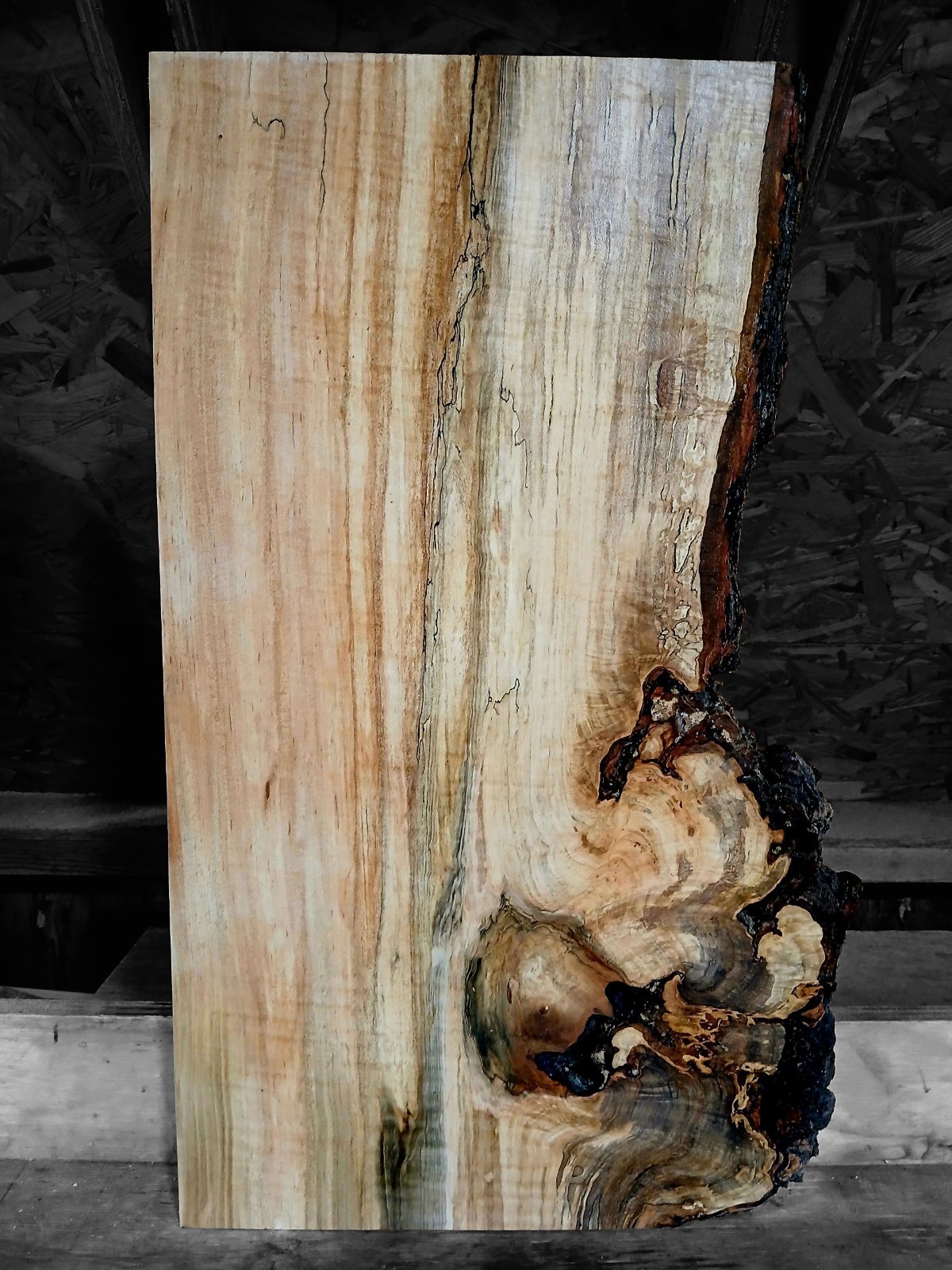 XXL MIND BLOWING Curly RED Maple Burl wood Slab EPOXY/STABILIZING/ Turning Wood