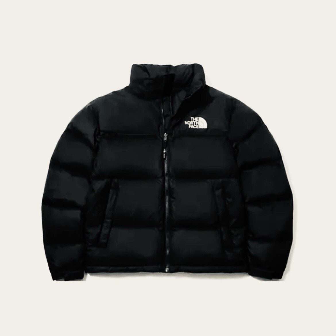 Chaqueta Puffer de plumón SIZE L The North Face 1996 retro Nuptse 700 BLACK