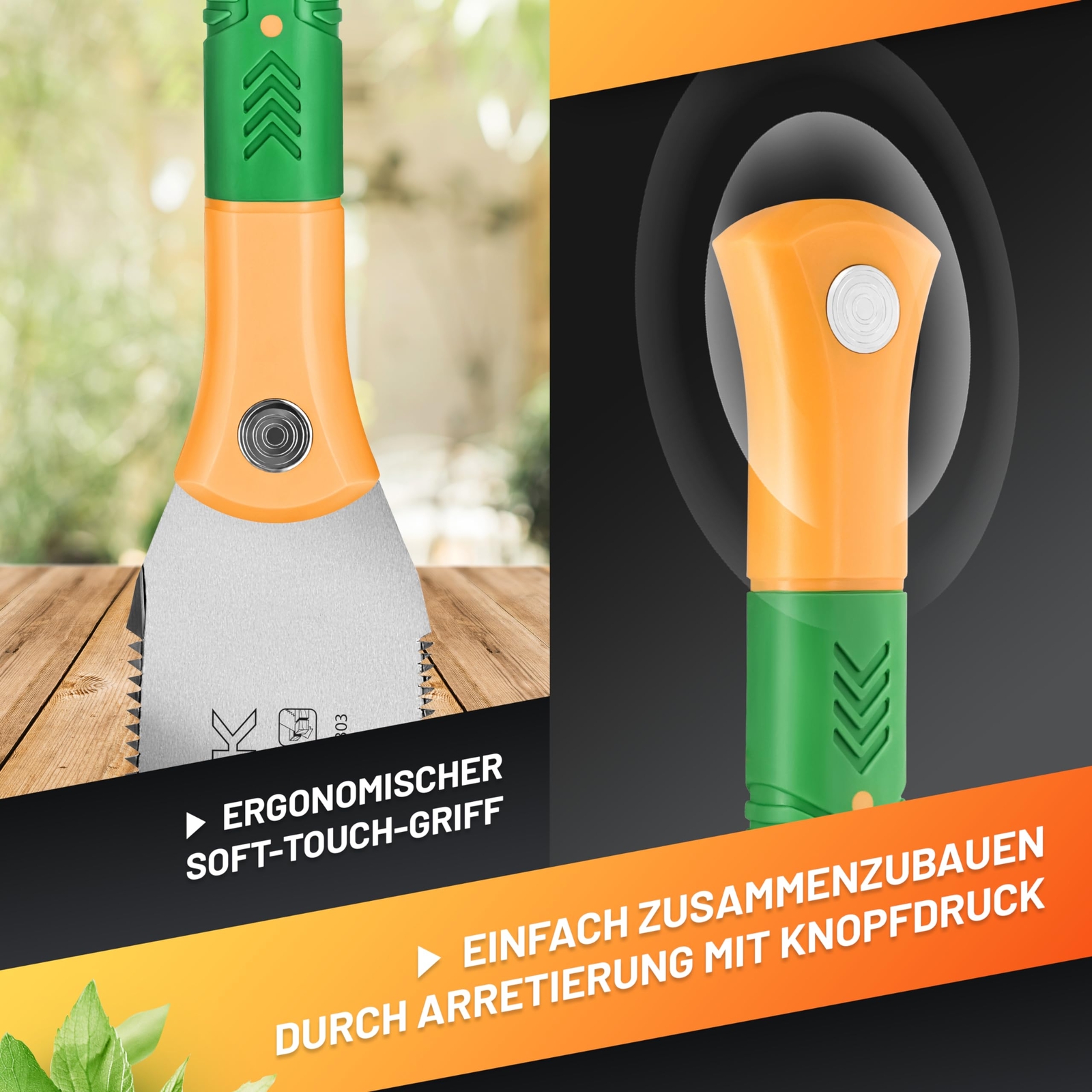 Bild 4 von 6