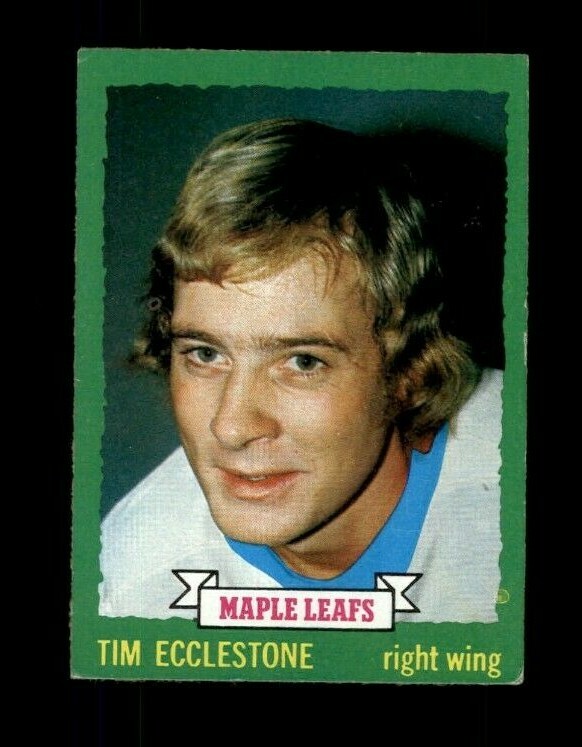 1973-74 O-Pee-Chee #144 Tim Ecclestone EX (ref 122211)