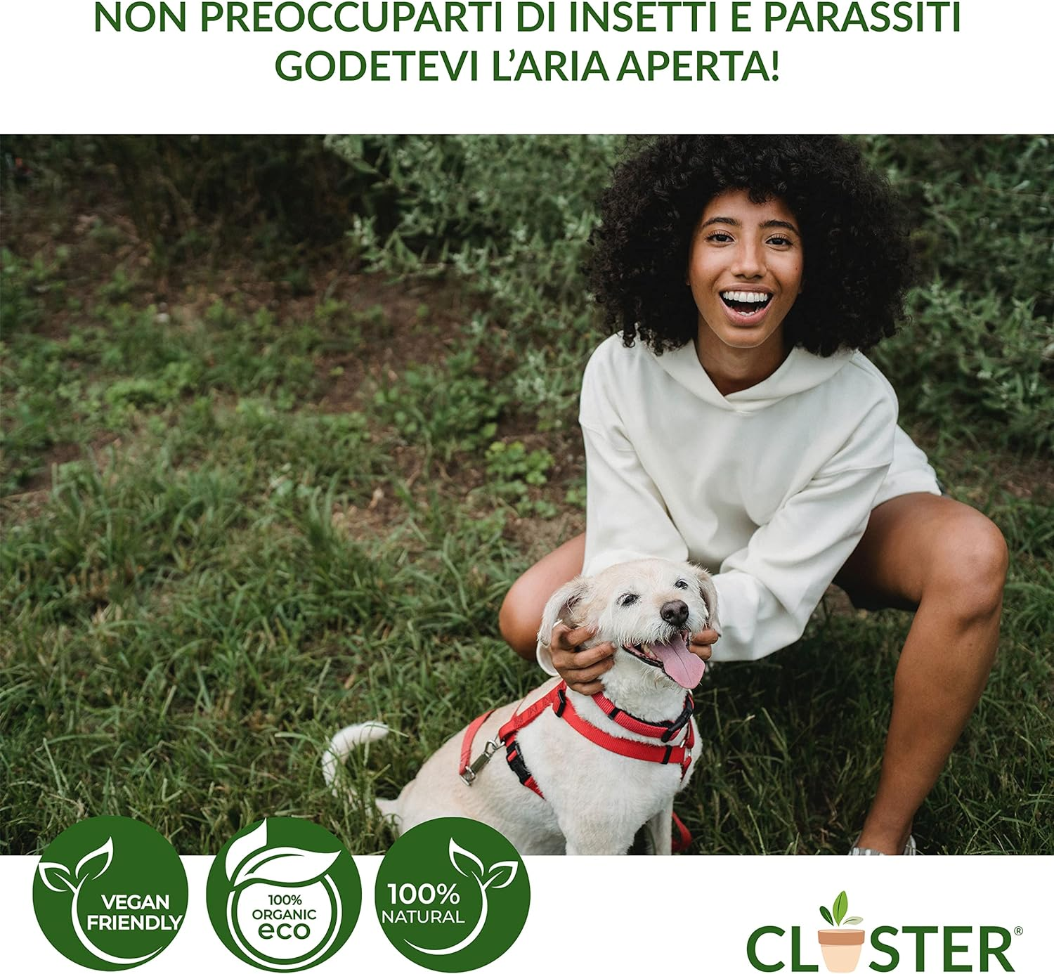 Foto 6 di 14