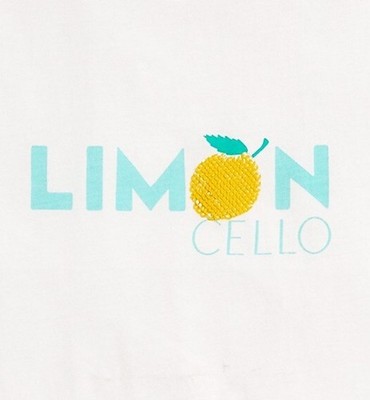 J.Crew Factory Lemon Limoncello ITALY Collector T-Shirt size S M L XL XXL 2X NEW