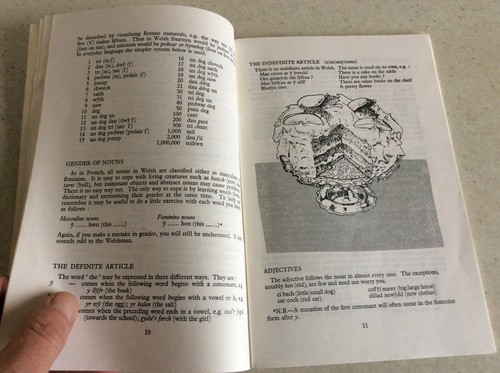 SPEAK WELSH -AN INTRODUCTION TO WELSH LANGUAGE- 1ST EDITION 1977 GP JONES - Picture 3 of 11