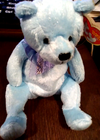 Picture 4 of 12